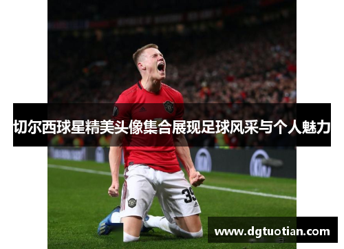 切尔西球星精美头像集合展现足球风采与个人魅力