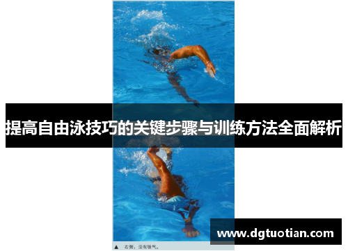 提高自由泳技巧的关键步骤与训练方法全面解析