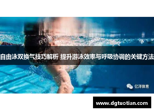 自由泳双换气技巧解析 提升游泳效率与呼吸协调的关键方法