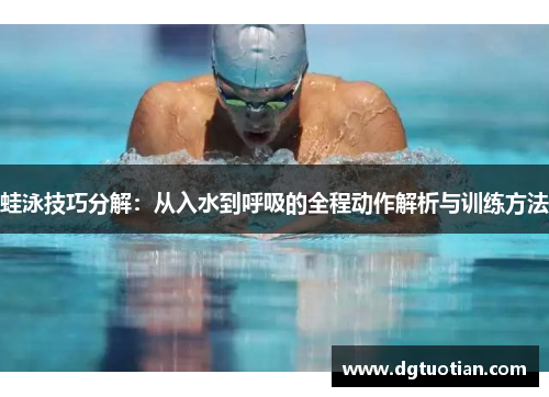蛙泳技巧分解：从入水到呼吸的全程动作解析与训练方法
